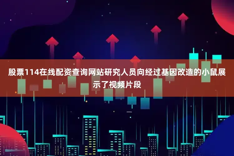 股票114在线配资查询网站研究人员向经过基因改造的小鼠展示了视频片段