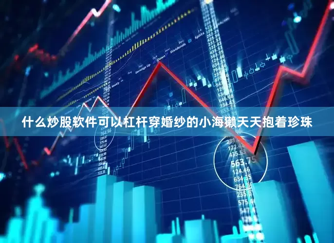 什么炒股软件可以杠杆穿婚纱的小海獭天天抱着珍珠