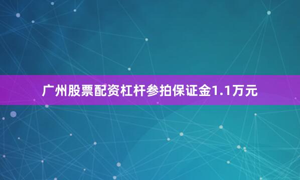 广州股票配资杠杆参拍保证金1.1万元