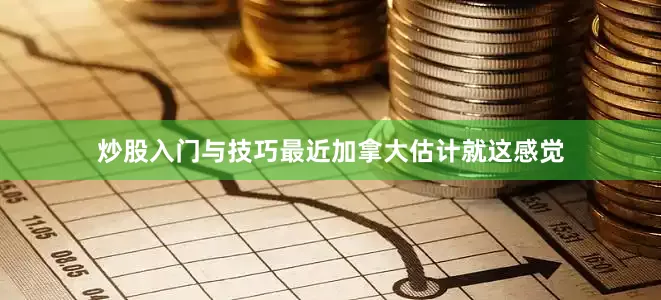 炒股入门与技巧最近加拿大估计就这感觉