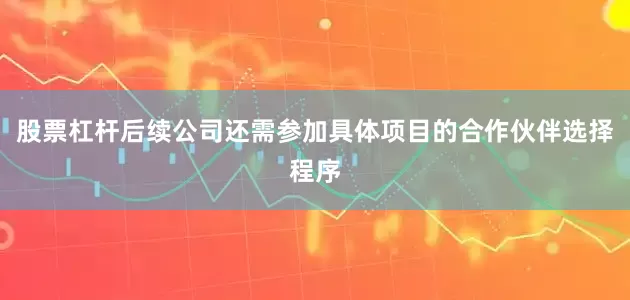 股票杠杆后续公司还需参加具体项目的合作伙伴选择程序